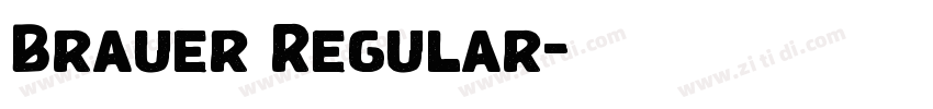 Brauer Regular字体转换